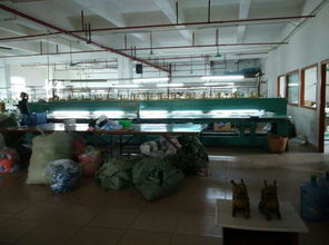 東莞市農村社區(qū)集體資產管理網在東風社區(qū)的應用 網絡工程實踐與展望