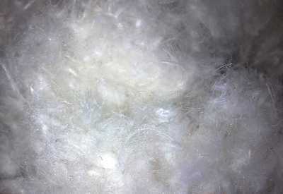 南海市水洗羽絨制品廠_世界工廠網(wǎng)全球企業(yè)庫